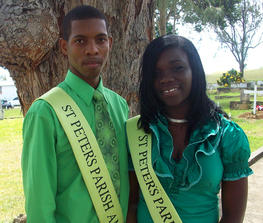 St.Peter Parish Independence Committee The Green Solution: Stop, Think...Go Green